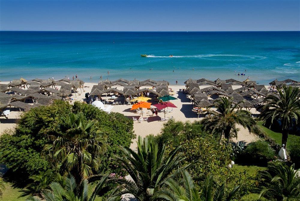The Orangers And Hammamet